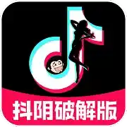 抖阴破解版